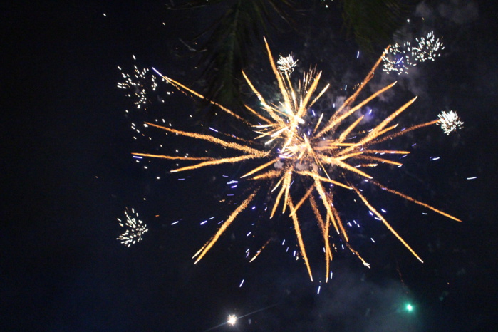 MARCHE SUR LE FEU AU TEMPLE PANDIALE PRIMAT 2016