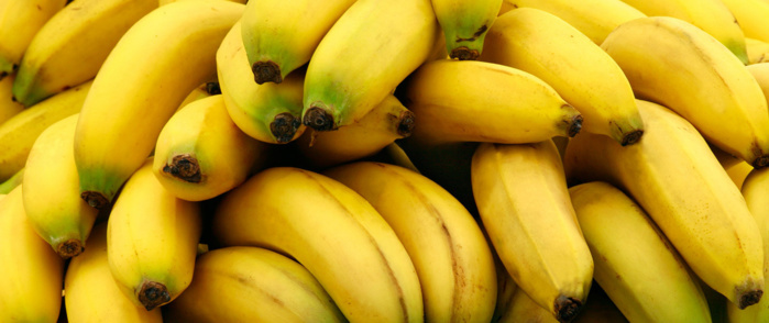 LA BANANE LA BANANE