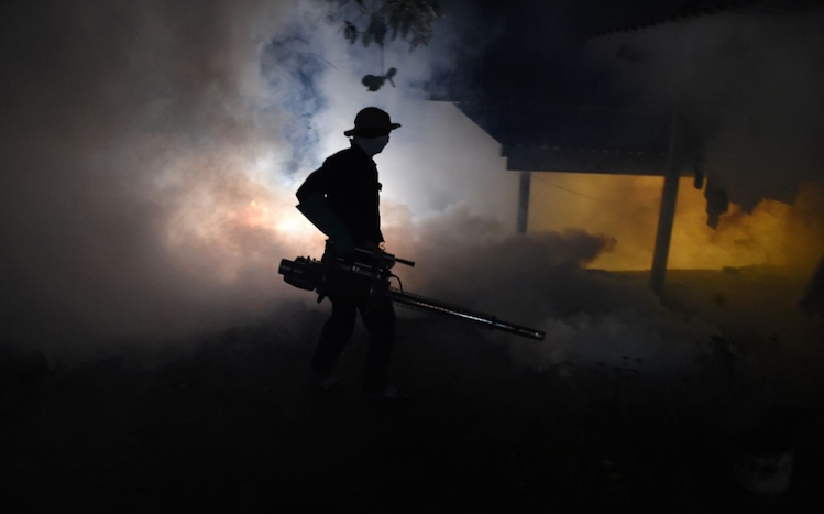Dengue : le Sri Lanka envoie l’armée contre les moustiques
