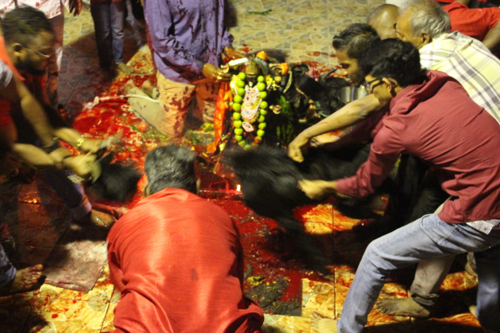 FÊTE KÂLI 2017 AU TEMPLE PANDIALE PRIMAT DE ST-DENIS