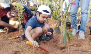 Record battu pour l’Inde : 66 millions d’arbres plantés en 12 heures !