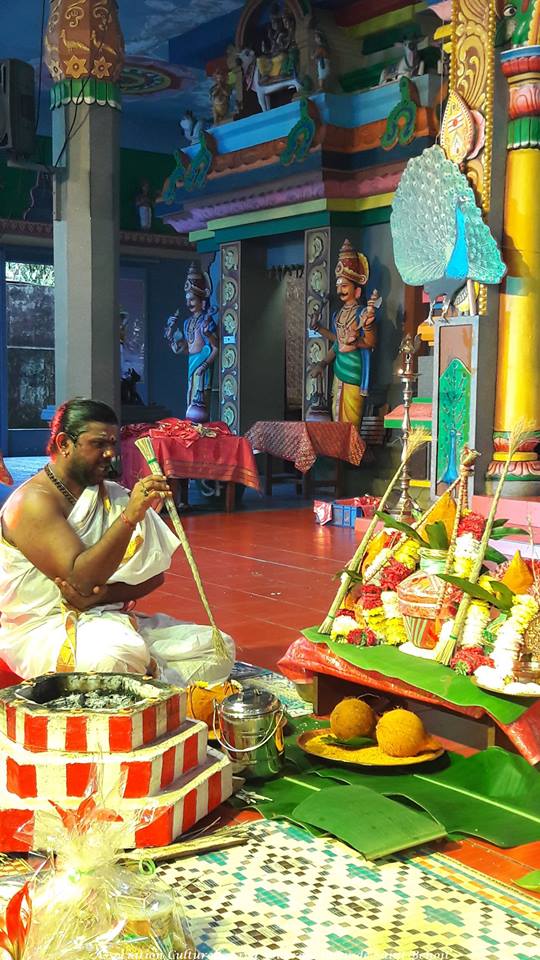 MURUGA TIRUKÂLYANAM AU TEMPLE SIVA SOUPRAMANIEN DE ST-BENOÎT 