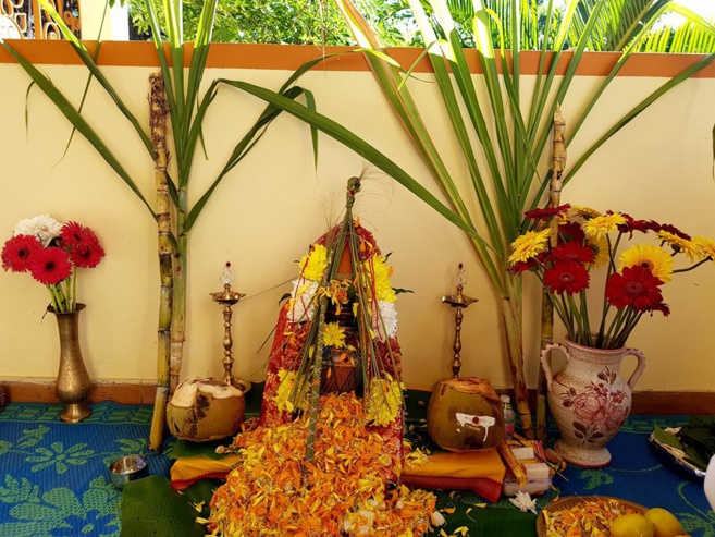 LE PONGAL CÉLÉBRÉE  À L'ASHRAM DU PORT 