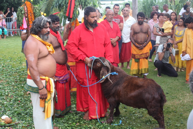 MARCHE SUR LE FEU AU TEMPLE FAMILIAL AMOUNY À ST-PIERRE 2018