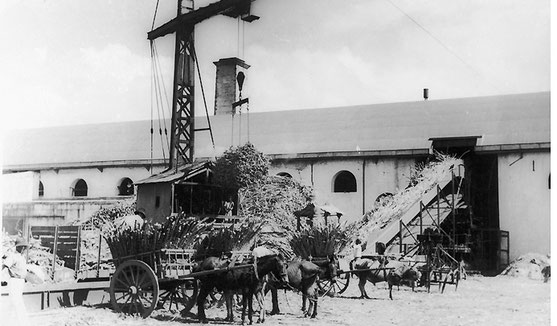 5 RÉVOLTES MALBARS CONTRE LE SYSTÈME ESCLAVAGISTE À LA RÉUNION 5 RÉVOLTES MALBARS CONTRE LE SYSTÈME ESCLAVAGISTE À LA RÉUNION