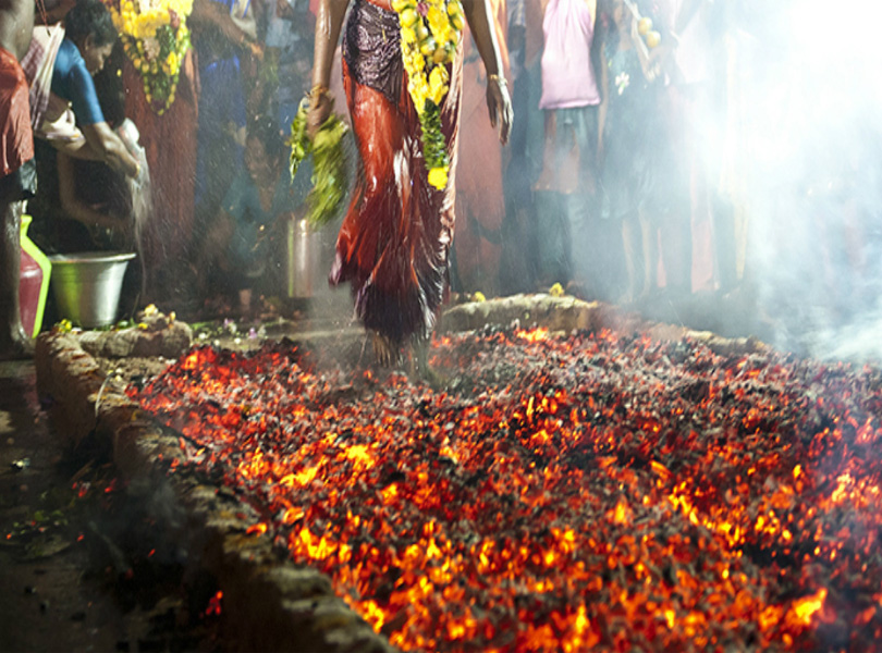 FESTIVAL DE THIMITHI : QUAND DRAUPADI EST ADORÉ