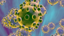 ALERTE CORONAVIRUS : LA PANDÉMIE MONDIALE ALERTE CORONAVIRUS : LA PANDÉMIE MONDIALE