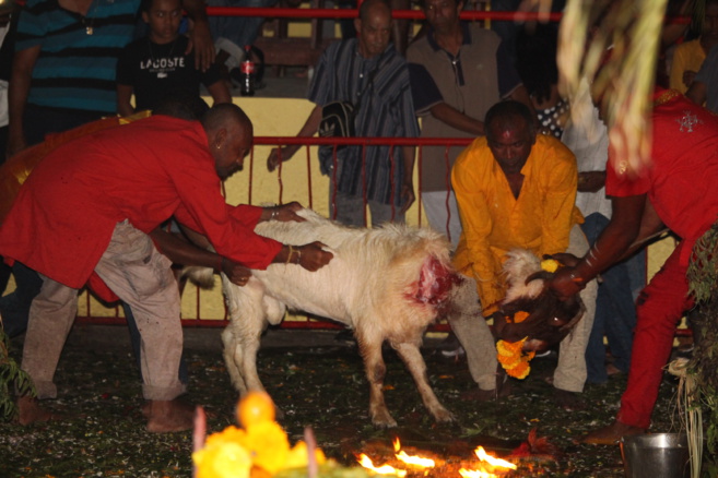 MARCHE SUR LE FEU AU TEMPLE VAÏTY 2020
