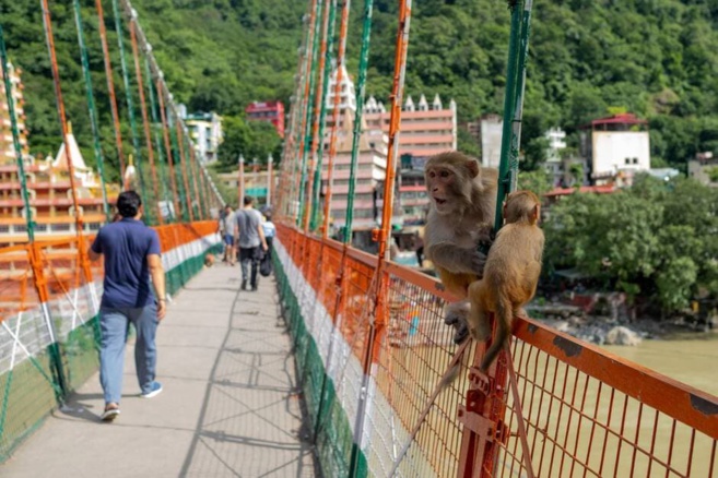 INDE : UNE FRANÇAISE ARRÊTÉE POUR AVOIR TOURNÉ UNE VIDÉO DÉNUDÉE SUR UN PONT SACRÉ  INDE : UNE FRANÇAISE ARRÊTÉE POUR AVOIR TOURNÉ UNE VIDÉO DÉNUDÉE SUR UN PONT SACRÉ