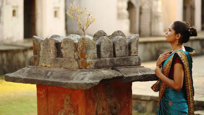 CHOSES À PRENDRE EN CHARGE LORS DE LA PLANTATION D'UN TULSI À LA MAISON CHOSES À PRENDRE EN CHARGE LORS DE LA PLANTATION D'UN TULSI À LA MAISON