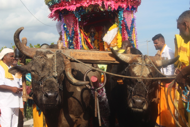 MARCHE SUR LE FEU 2022 AU TEMPLE SHRI DEVI PANDIALÉ, CASERNES ST-PIERRE 