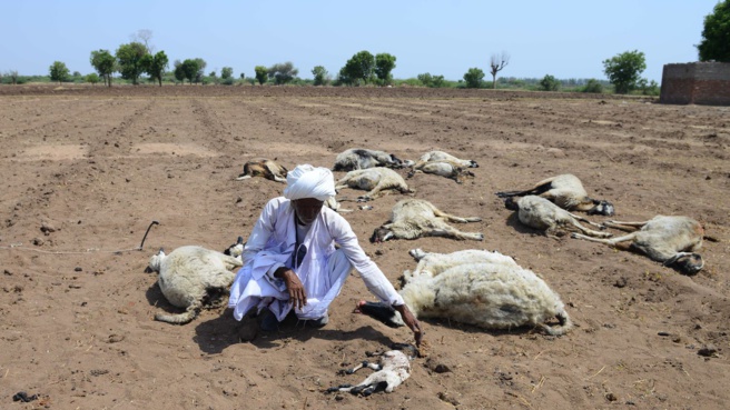 LE RÉCHAUFFEMENT CLIMATIQUE : L'INDE ET LE PAKISTANT SUFFOQUENT À CAUSE DE LA CHALEUR 