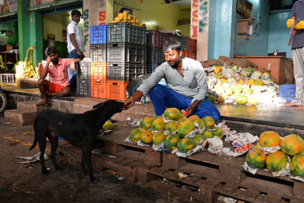 VISITE DU MARCHÉ DE KOYAMBEDU À CHENNAI 