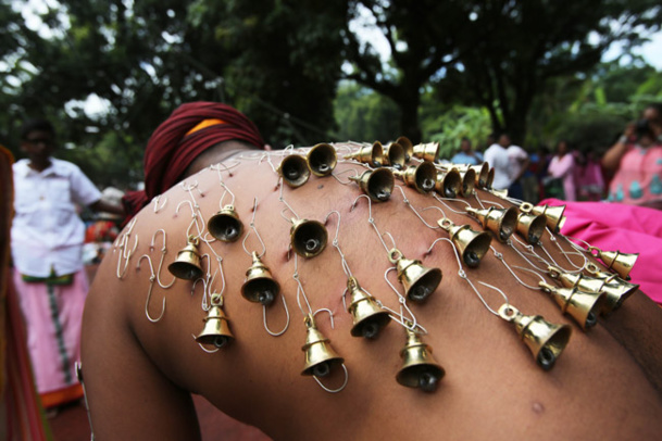 Les premières photos du Thaipusam Cavadee 2016 de St-André (Réunion)