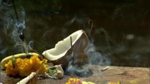 SYMBOLE DE LA NOIX DE COCO EN INDE