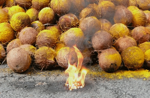 SYMBOLE DE LA NOIX DE COCO EN INDE