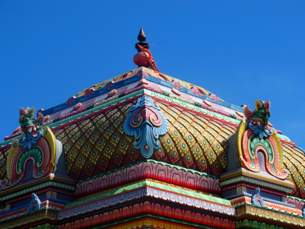 TEMPLE NARASSINGUA PEROUMAL DE SAINT-PIERRE