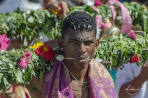 Les Photos de Kat. Les Photos de Kat.