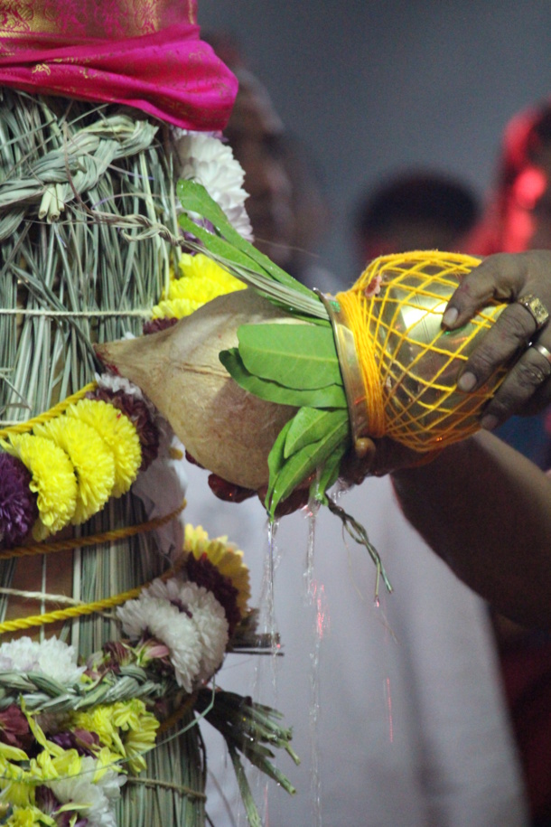 VAÏKÂSI VISÂGAM KÂVADI 2016 : TEMPLE SIVA SOUPRAMANIEN DE SAINT-BENOÎT 