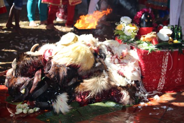 FÊTE KÂLI 2016 AU TEMPLE DU CHAUDRON À SAINT-DENIS