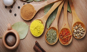 Un expert de médecine traditionnelle indienne à la Réunion