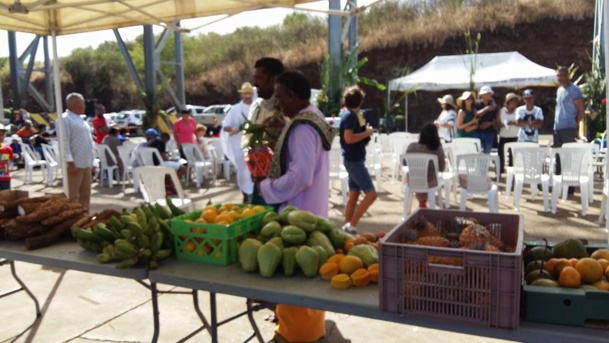 Sabres et tracteurs bénis pour une campagne sucrière réussie ! Sabres et tracteurs bénis pour une campagne sucrière réussie !