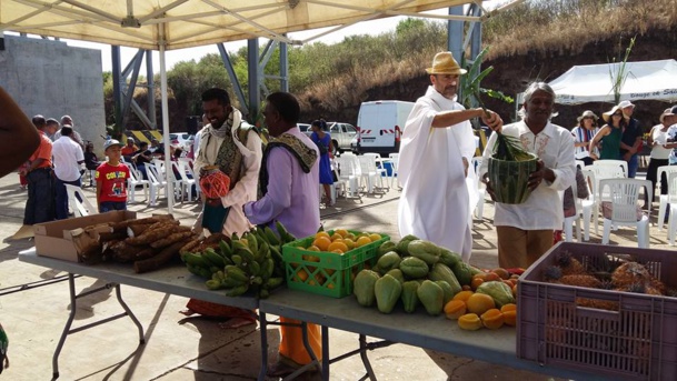 Sabres et tracteurs bénis pour une campagne sucrière réussie ! Sabres et tracteurs bénis pour une campagne sucrière réussie !