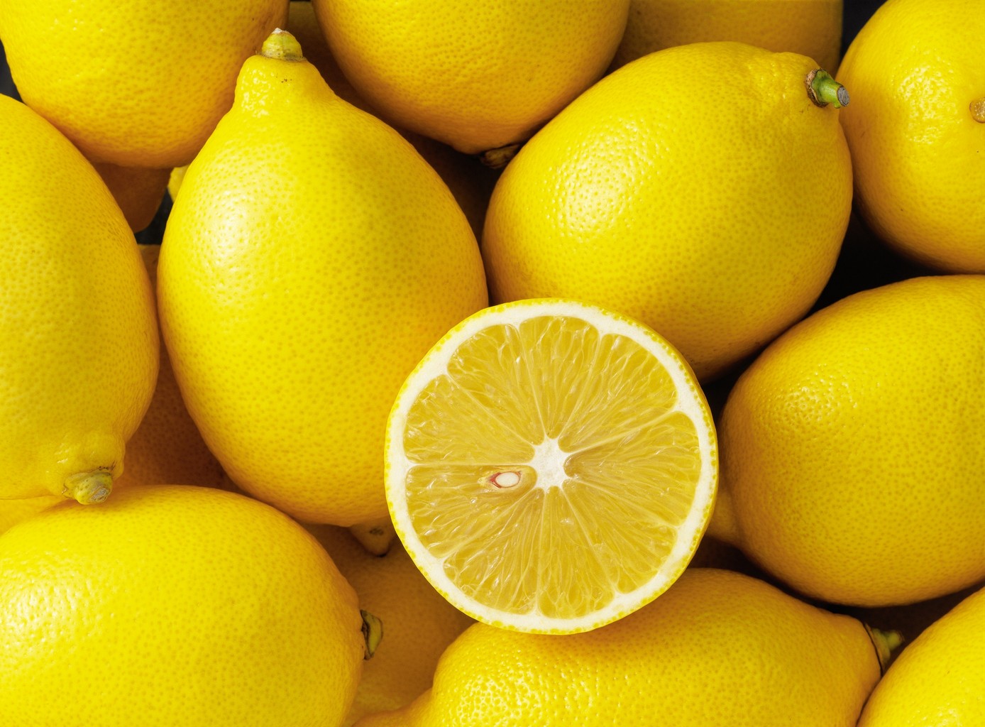Le citron : ce fruit qui nous offre une autre perspective sur la vie Le citron : ce fruit qui nous offre une autre perspective sur la vie