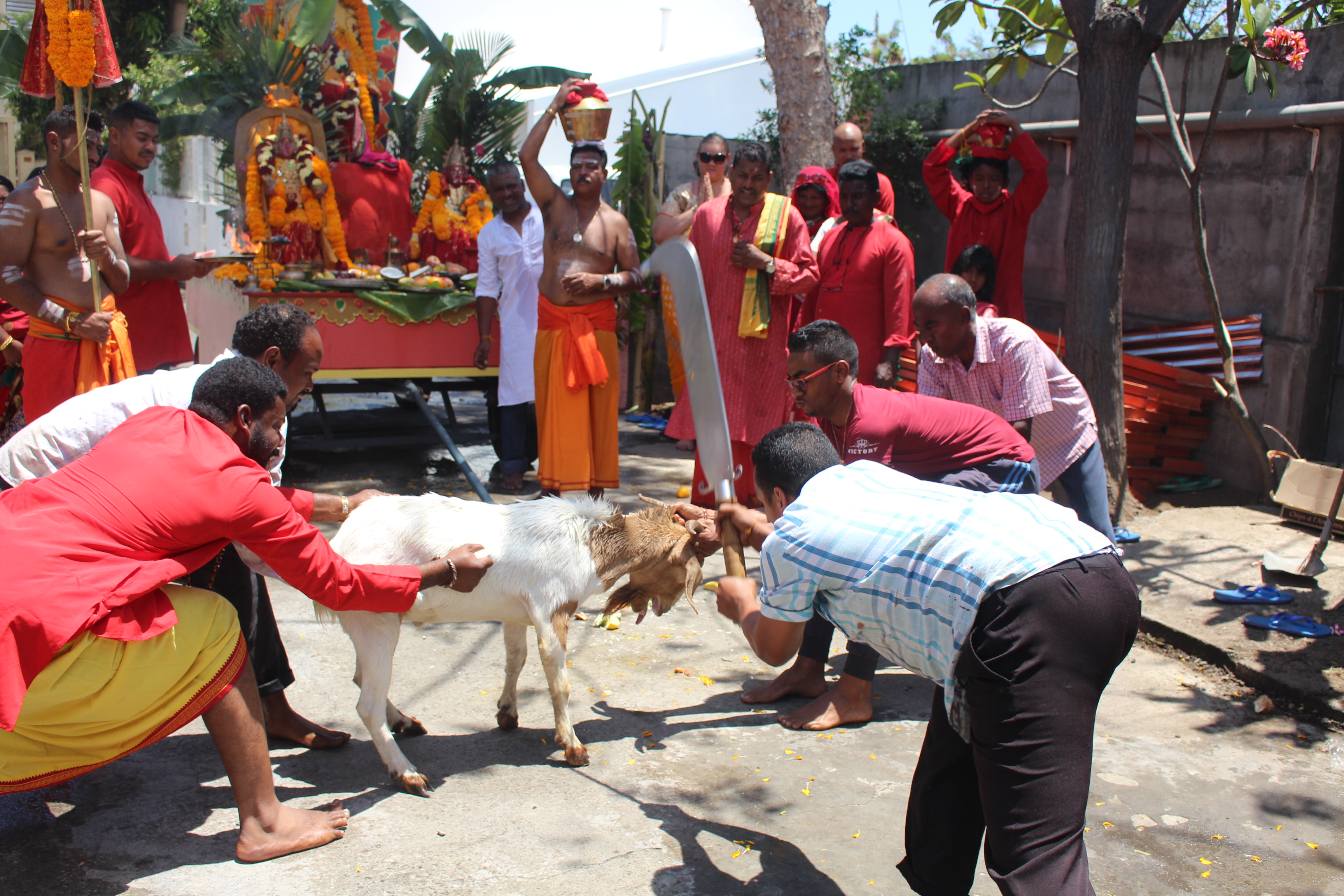 FÊTE KÂLI 2016 AU TEMPLE FAMILIAL RAIPIN DE SAINT-PAUL 