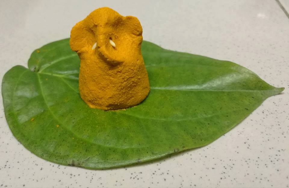 Pourquoi le curcuma (Pasupu) est-il considéré comme saint en Inde et à quoi sert-il ?