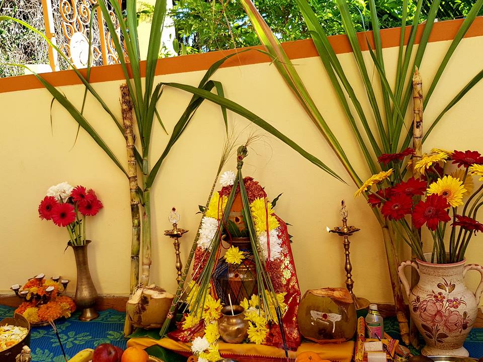 LE PONGAL CÉLÉBRÉE  À L'ASHRAM DU PORT 