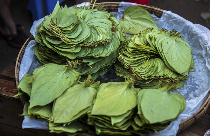 POURQUOI LE BETEL (PAAN) EST-IL SI IMPORTANT DANS L'HINDOUISME ?