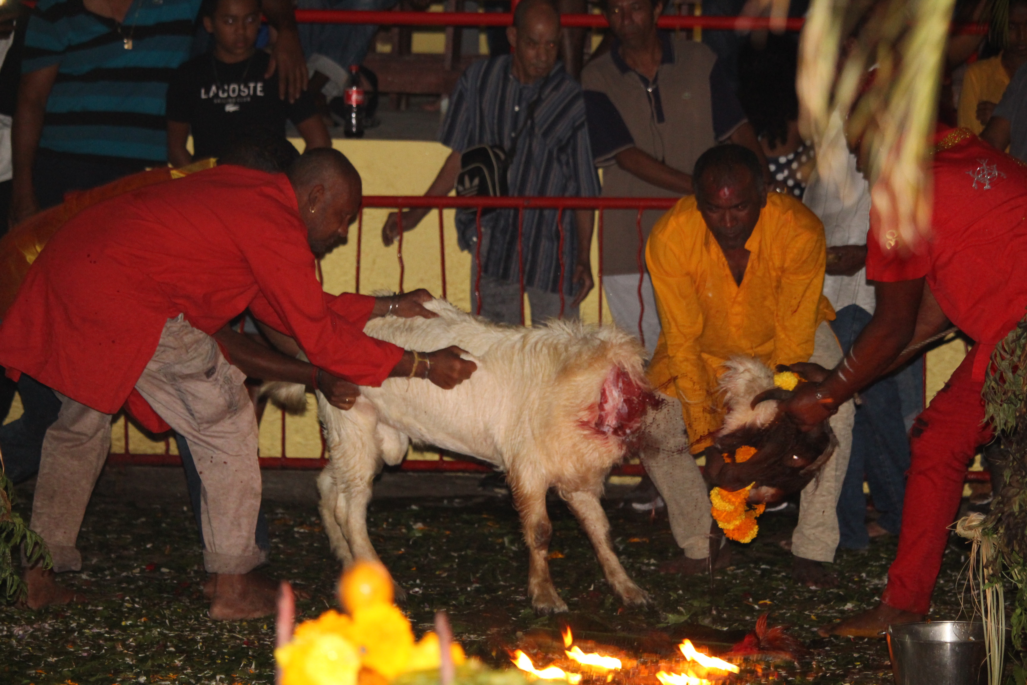 MARCHE SUR LE FEU AU TEMPLE VAÏTY 2020