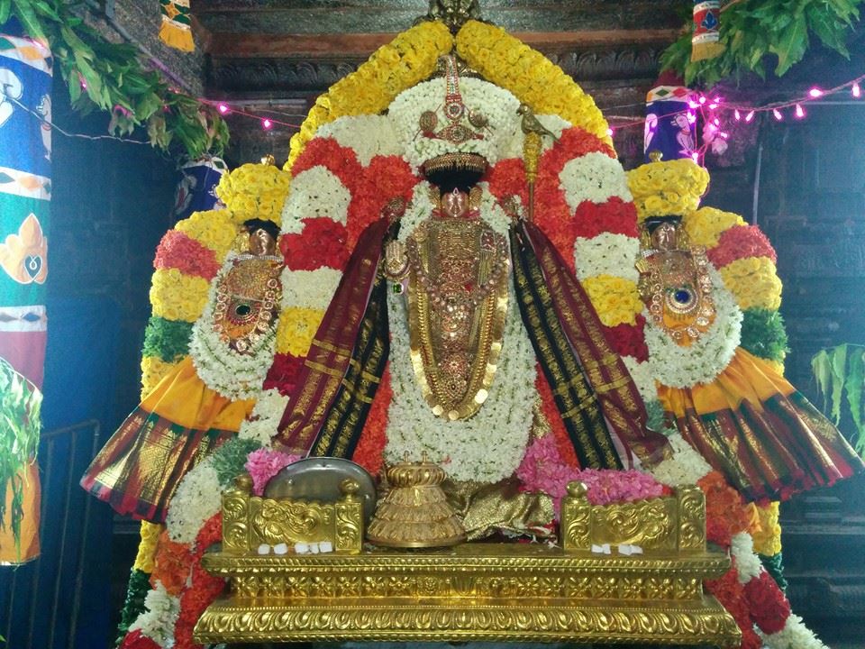 VAIKASI VISAKAM PRÉSENTANT LA DIVINITÉ SUPRÊME DE MURUGA