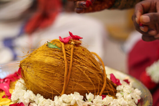 IMPORTANCE DE L'UTILISATION DE LA NOIX DE COCO DANS LES TEMPLES ET À LA MAISON IMPORTANCE DE L'UTILISATION DE LA NOIX DE COCO DANS LES TEMPLES ET À LA MAISON