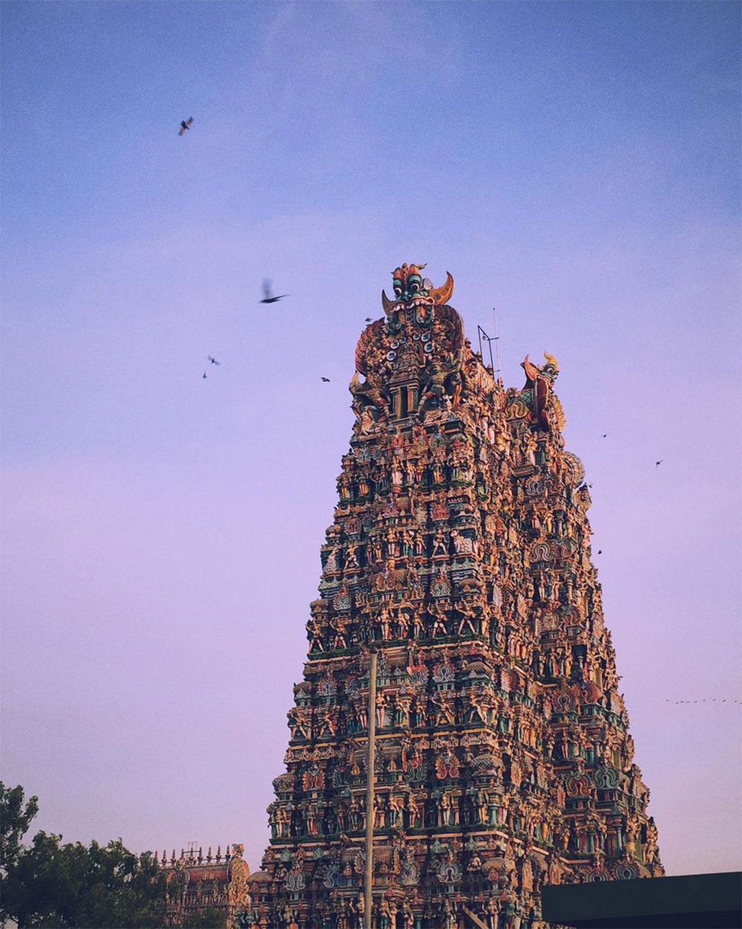 Admirez le temple indien de Mînâkshî dont les superbes couleurs n’ont d’égal que l’immensité de l’architecture