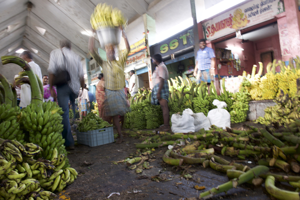 VISITE DU MARCHÉ DE KOYAMBEDU À CHENNAI 