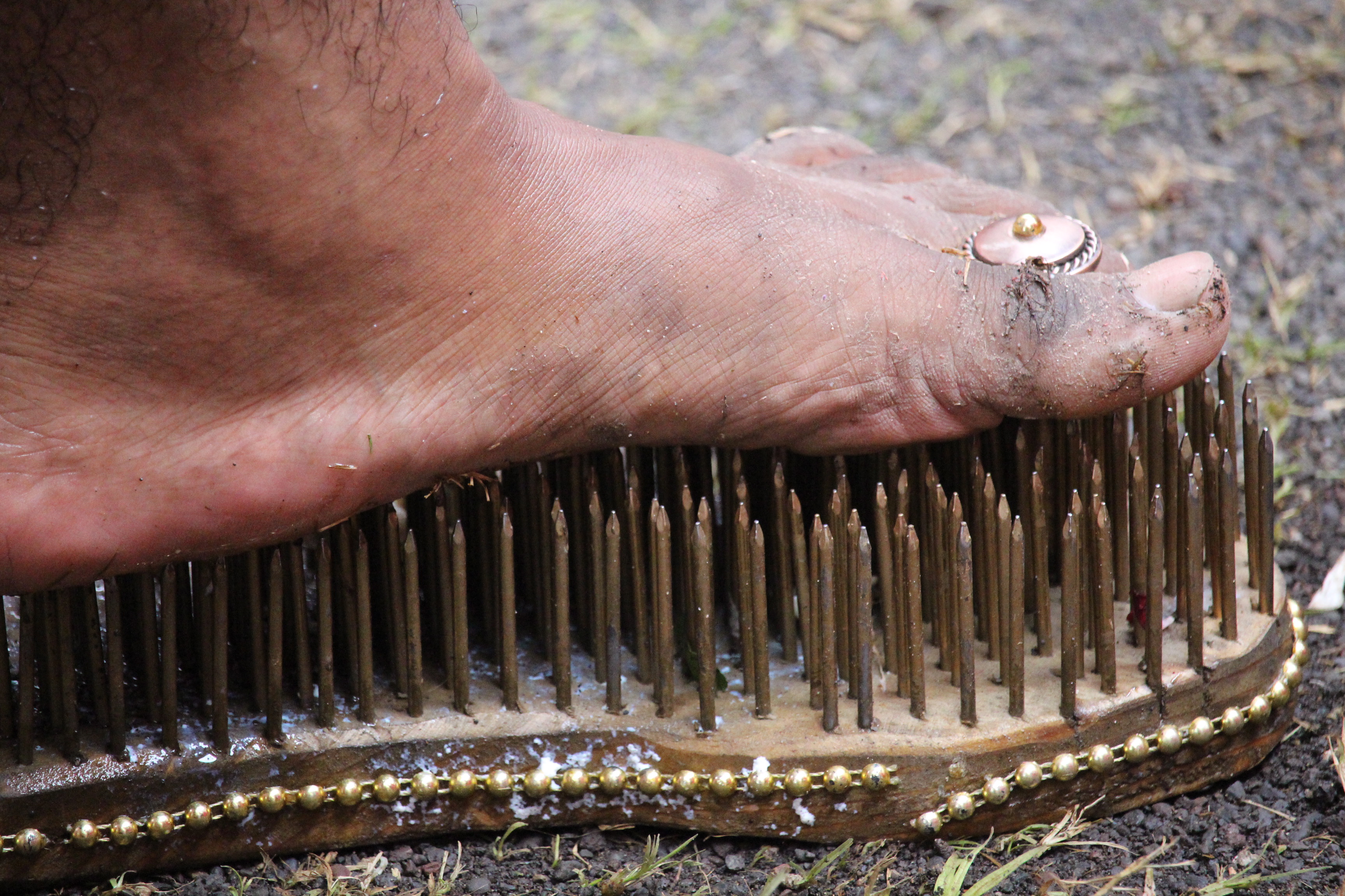 Les premières photos du Thaipusam Cavadee 2016 à Saint-Louis (Réunion)