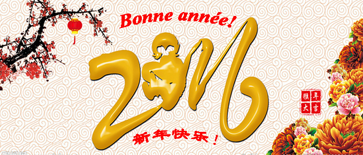 BONNE ANNÉE A LA COMMUNAUTÉ CHINOISE - L’ANNÉE DU SINGE 