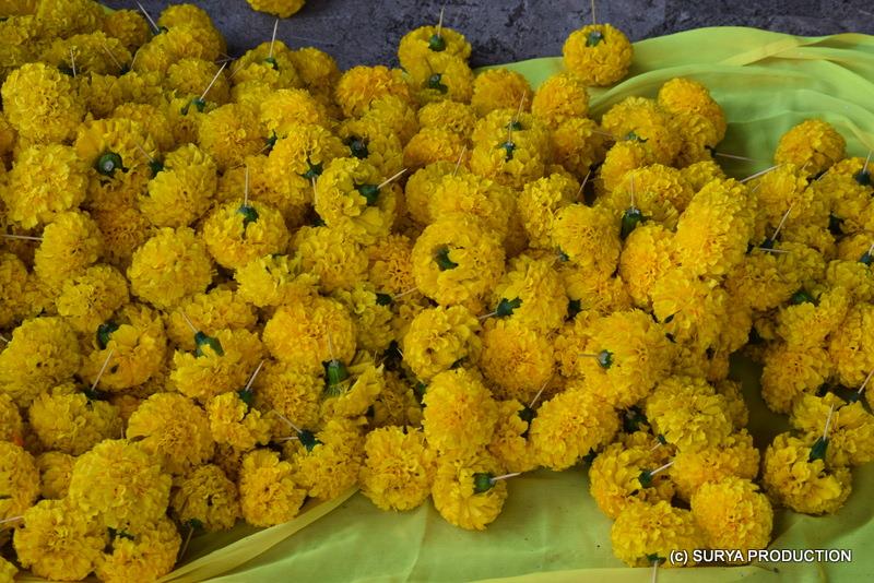 DÉBUT DES FESTIVITÉS POUR LA DÉESSE MARIAMMAN AU TEMPLE SIVA SOUPRAMANIEN DE ST-BENOIT DÉBUT DES FESTIVITÉS POUR LA DÉESSE MARIAMMAN AU TEMPLE SIVA SOUPRAMANIEN DE ST-BENOIT