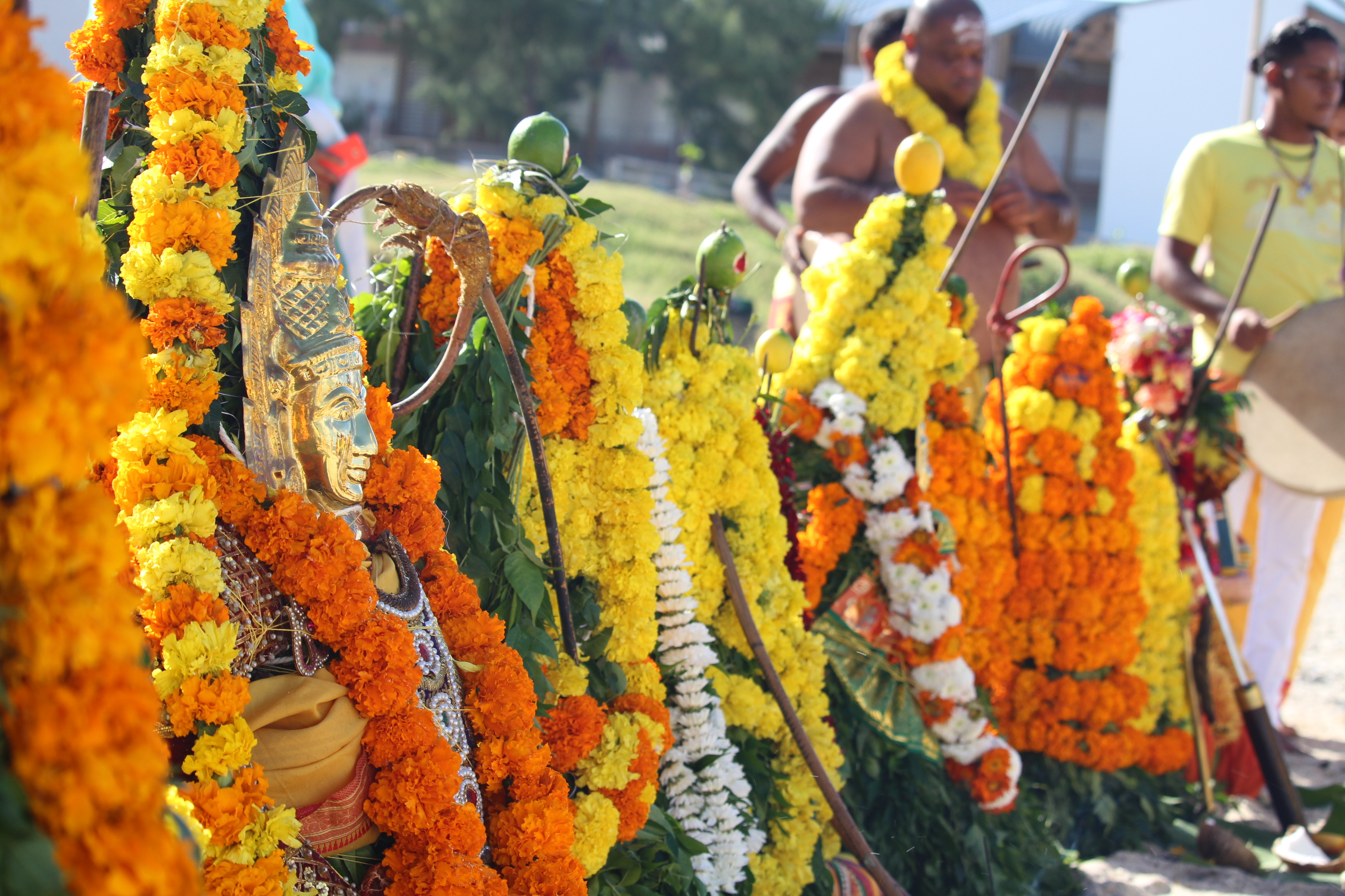 FÊTE MARIAMMAN 2016 AU KÔVIL SANGUILI KAROUPPA SWAMY (A.C.K.S.K.S) DE BOIS D'OLIVE