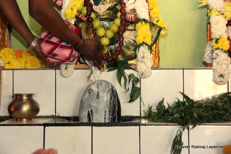 FÊTE MARIAMMAN 2016 À LA CHAPELLE MARMAILLE LE GOL DE SAINT-LOUIS