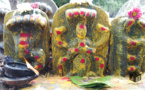 NAGESHWAR DIEU DES SERPENTS