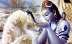IMPORTANCE DE MAHA SHIVARATRI CE MARDI IMPORTANCE DE MAHA SHIVARATRI CE MARDI