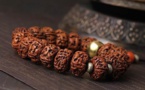 RUDRAKSHA : L'OEIL DE SHIVA