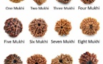 AVANTAGES DES DIFFÉRENTES FACES DU RUDRAKSHA