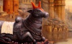 L'HISTOIRE DE NANDI