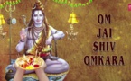 SHIVA OMKARA : EN QUOI EST-IL SPÉCIAL ?