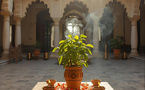 CHOSES À PRENDRE EN COMPTE LORS DE LA PLANTATION D’UN TULSI À LA MAISON CHOSES À PRENDRE EN COMPTE LORS DE LA PLANTATION D’UN TULSI À LA MAISON