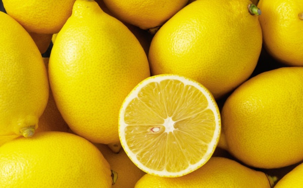 Le citron : ce fruit qui nous offre une autre perspective sur la vie